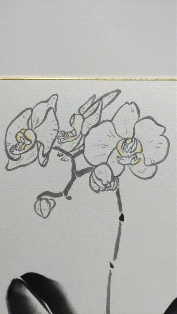 由水　煌人　伝統加賀友禅作家　直筆　胡蝶蘭　逸品