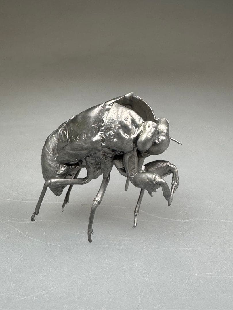 蝉　蝉の抜け殻　セミ　オブジェ　虫好き　金属製　標本