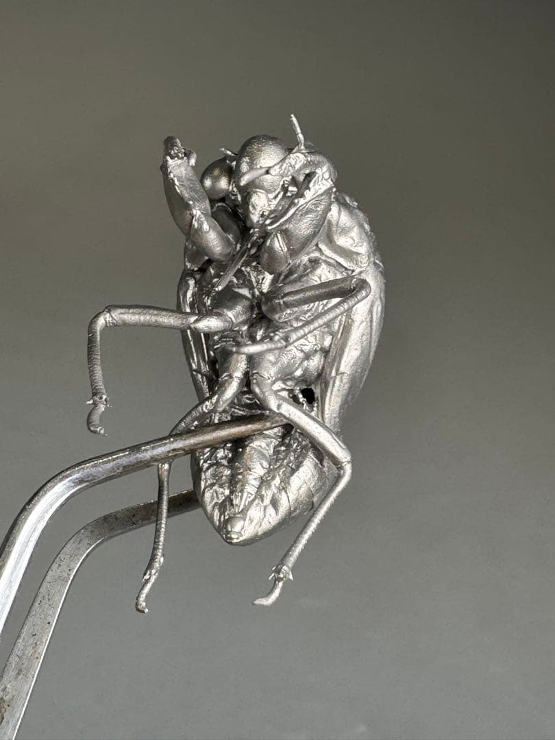 蝉　蝉の抜け殻　セミ　オブジェ　虫好き　金属製　標本