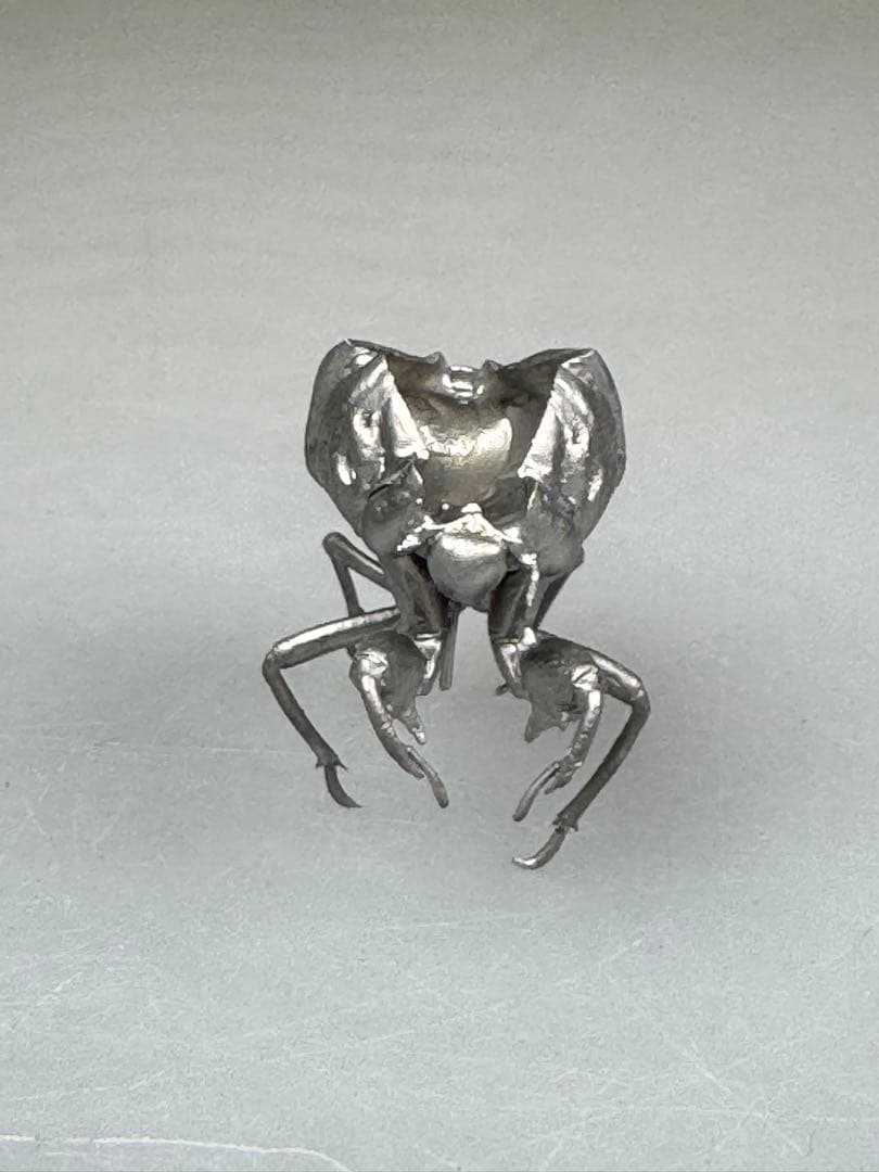 蝉　蝉の抜け殻　セミ　オブジェ　虫好き　金属製　標本