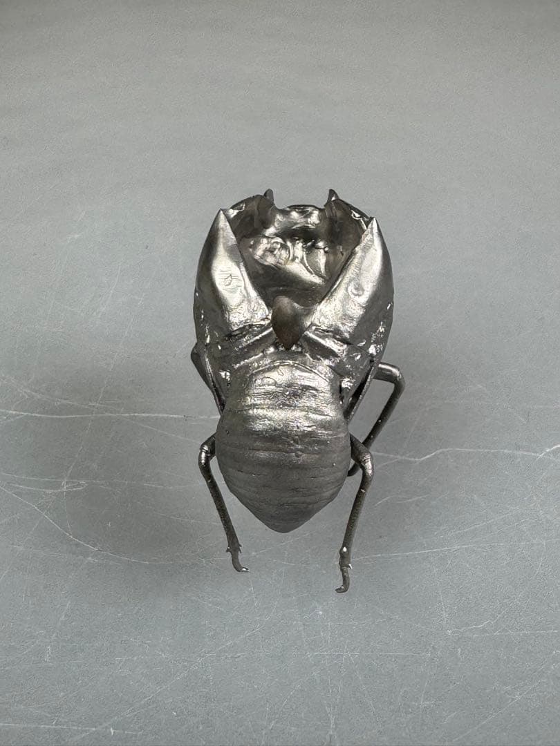 蝉　蝉の抜け殻　セミ　オブジェ　虫好き　金属製　標本
