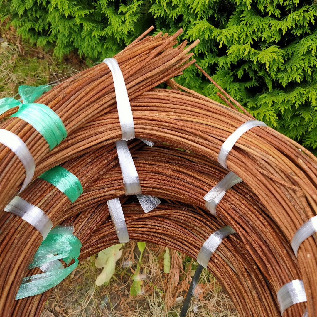 みっくん　青森県岩木山採取　あけび蔓　150cm～　3kg