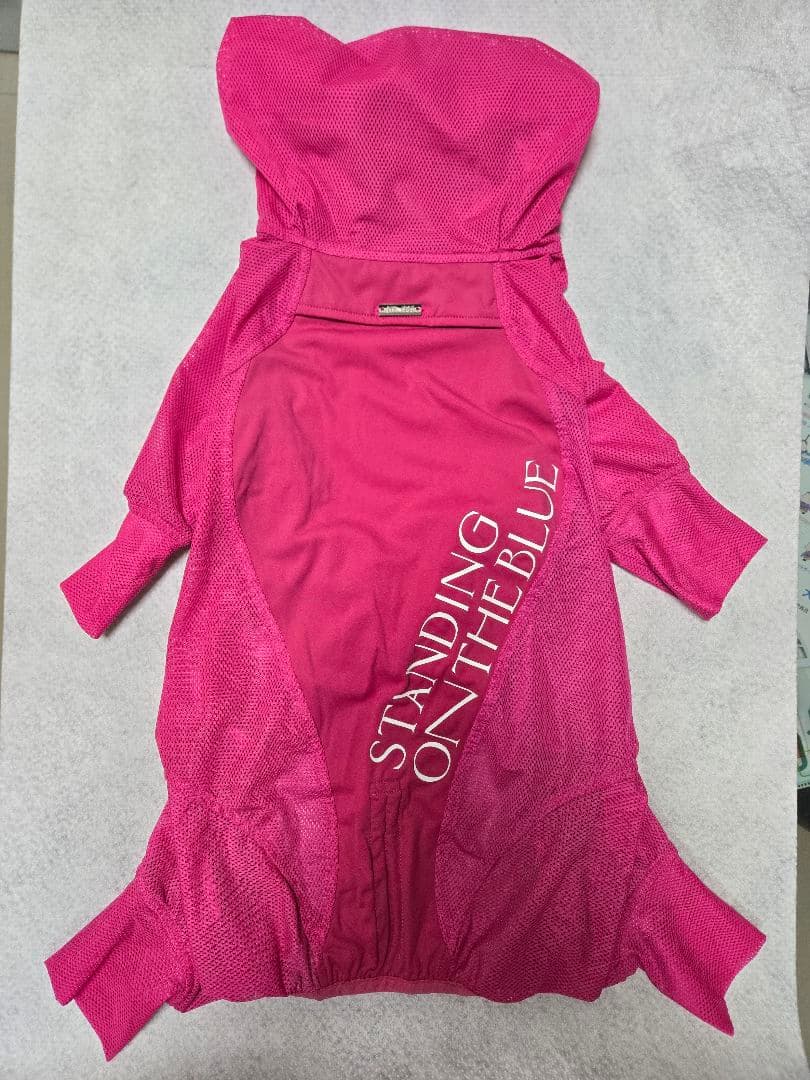 standing on the blue ピンクメッシュスーツ