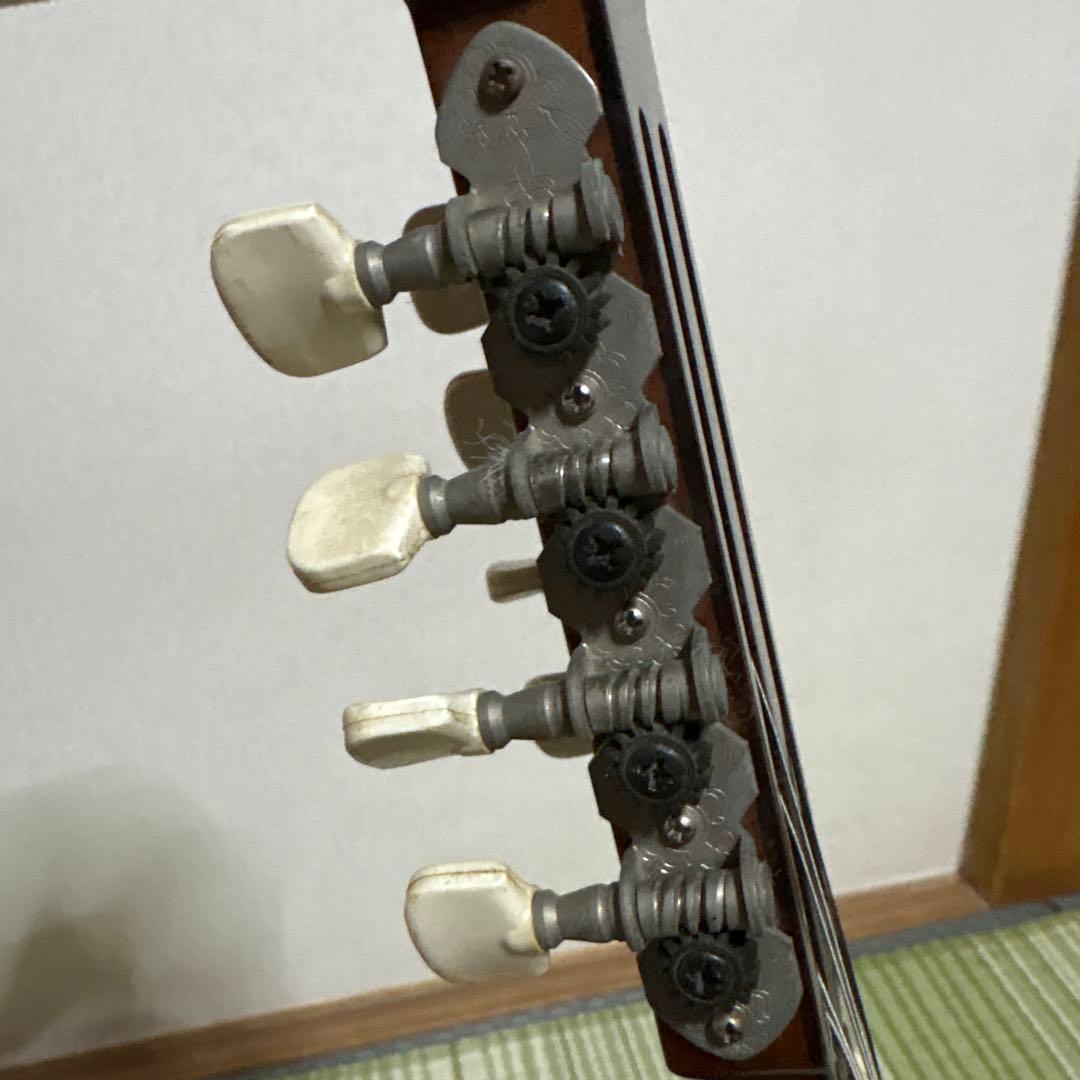 Raffaele 寺田楽器製 ハイエンド マンドリン RM-3 弦　ギター