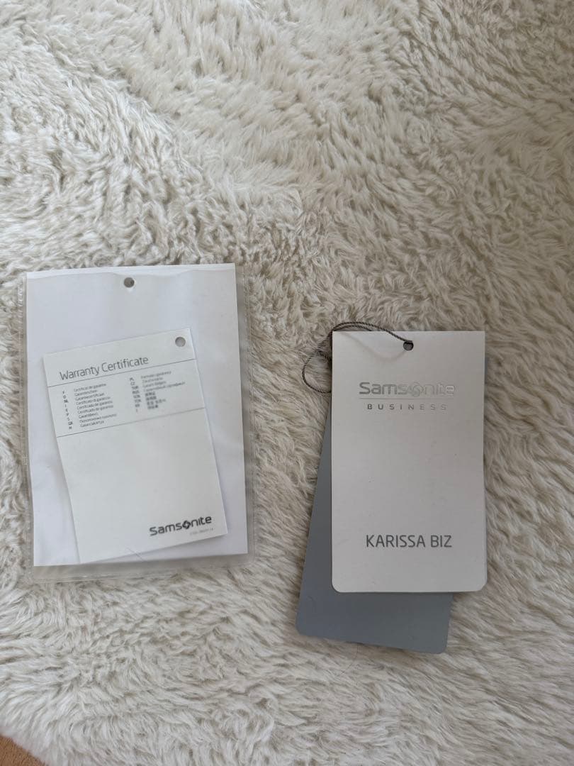 samsonite karissa biz 7382 ガンメタルグリーン　希少