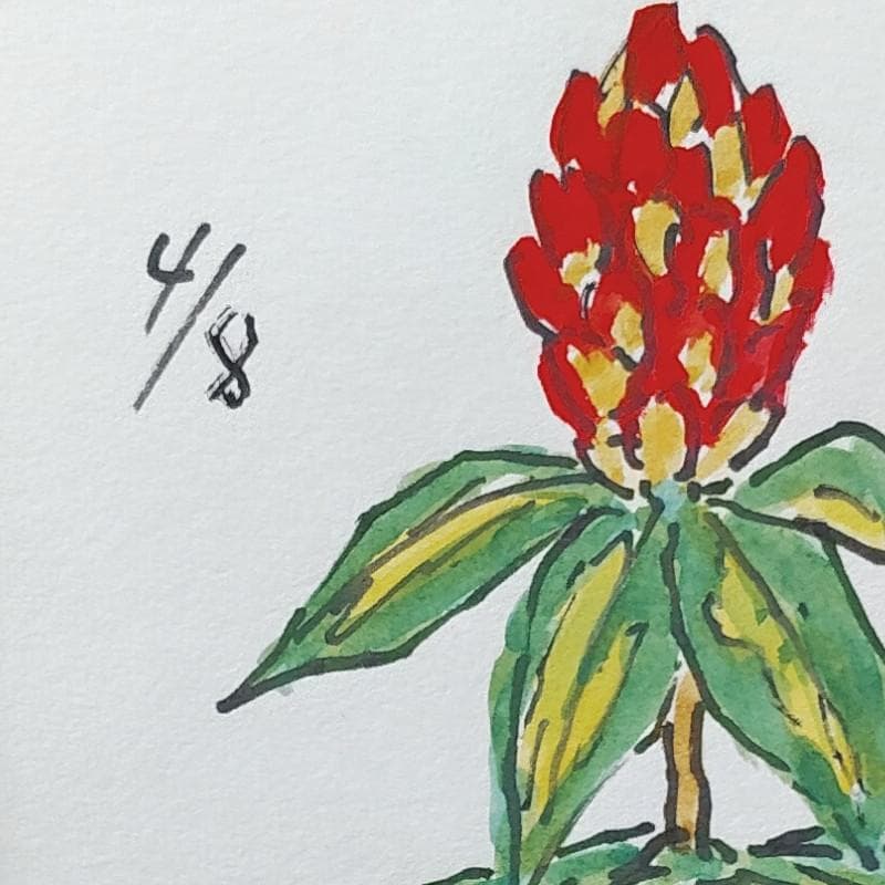 ☆ 坂本直行 ☆「ルーズベルト」水彩画　1982年4月8日制作　証明書　未使用！