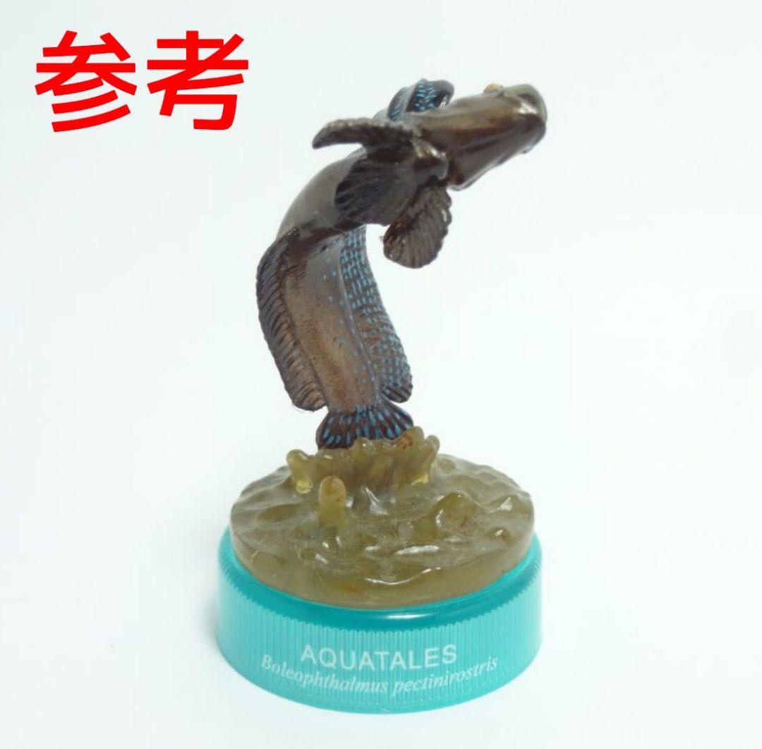 ムツゴロウ 九州物産展