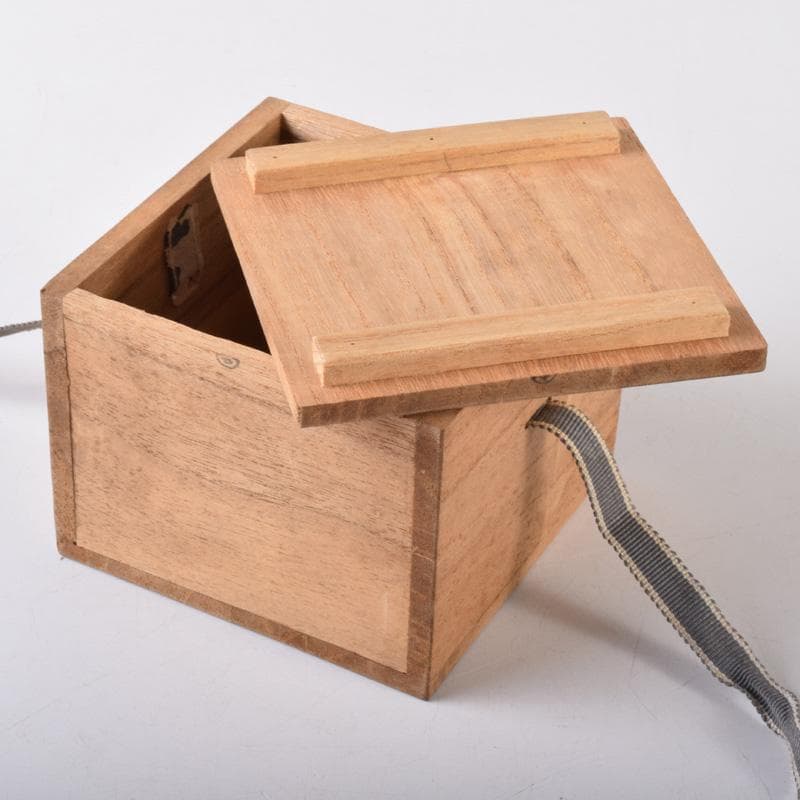 茶道具　飛騨春慶塗　岩本漆器店　大平棗　共箱　V　7307