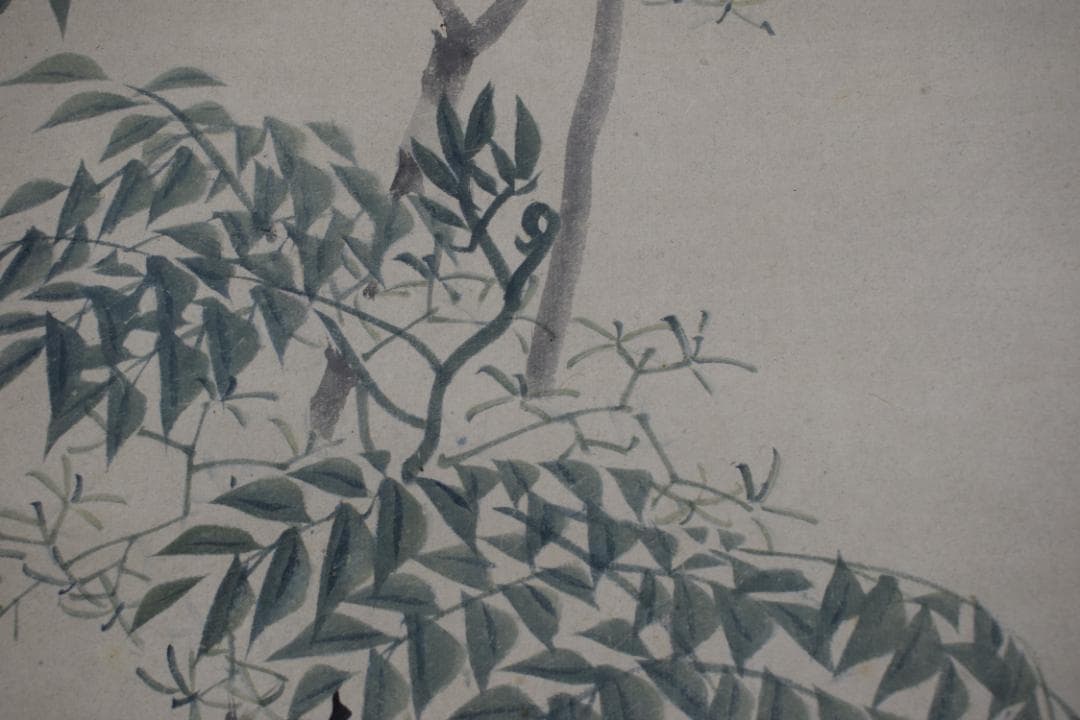 松村景文/蝶之図/花蝶図/掛軸/名家伝来/Z-517