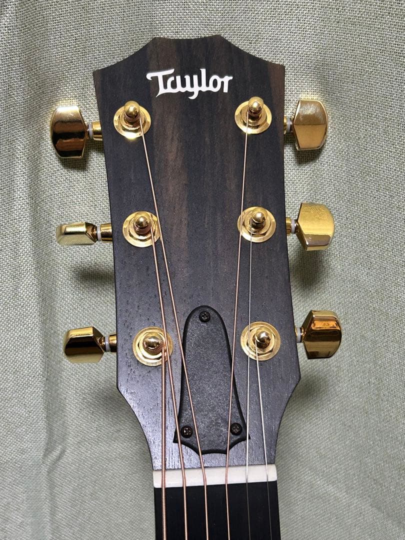 新年価格❗️Taylorエレアコ217e plus Ltd 50thアニバーサリー