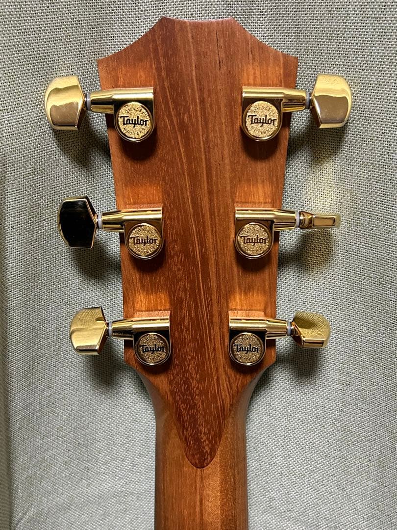 新年価格❗️Taylorエレアコ217e plus Ltd 50thアニバーサリー