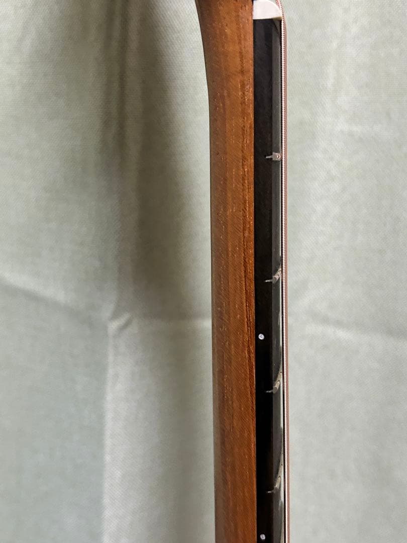 新年価格❗️Taylorエレアコ217e plus Ltd 50thアニバーサリー