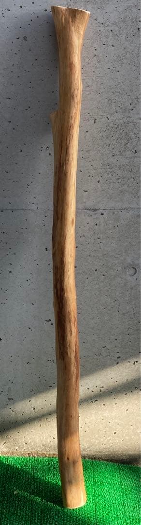 希少　樹齢150〜200年　杉枝　約143cm 鑑賞　庭　インテリア 骨董　華道