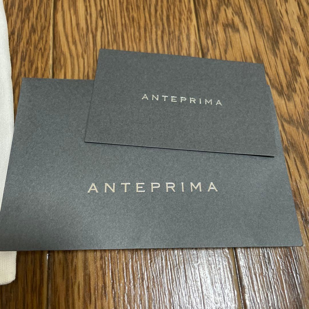 ANTEPRIMA シルバー メッシュ インナーバッグ スモール ポーチ