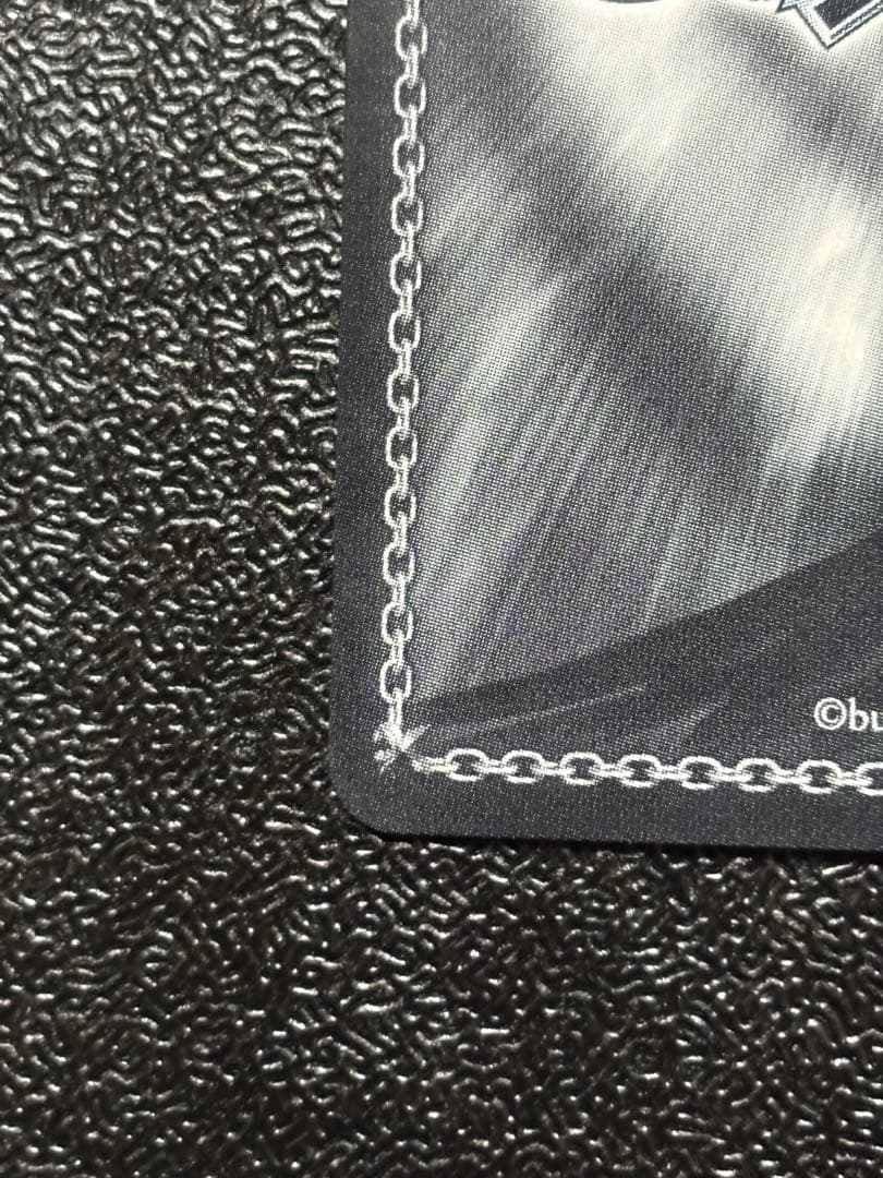 ヴァイス　プールでまったり 大神ミオ ssp サイン　ホロライブ