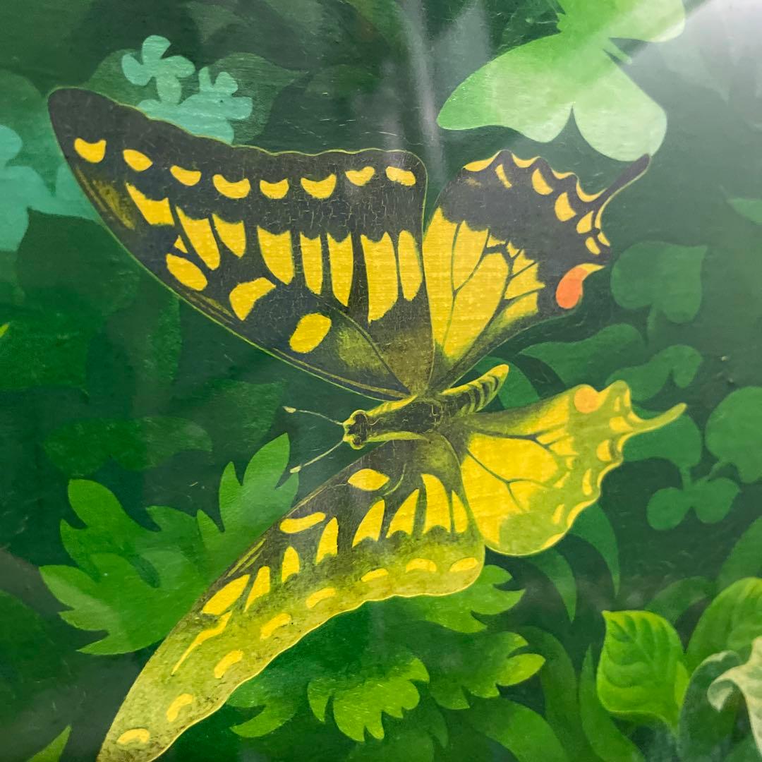 野宮武明　黄色い花と蝶々　油絵　真作