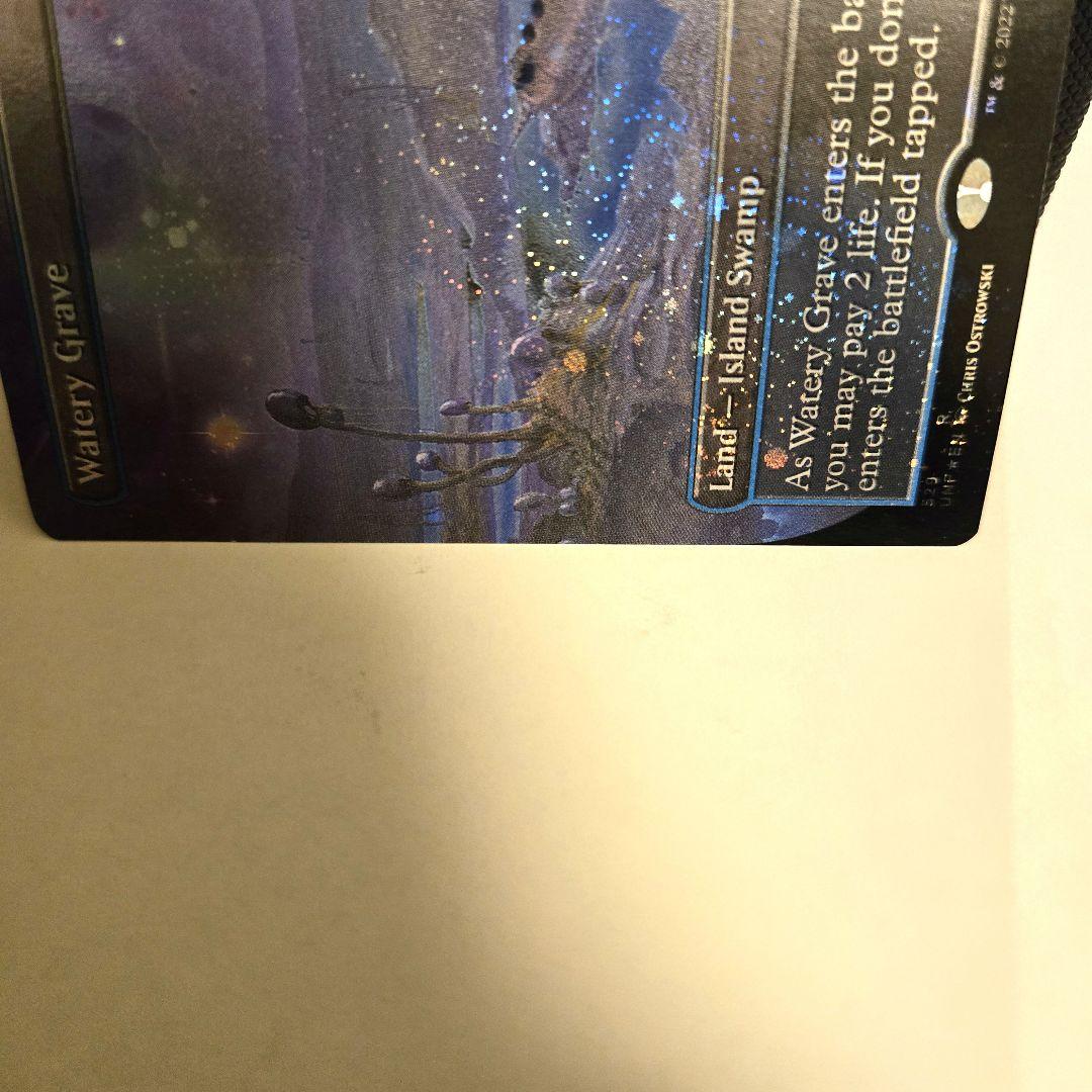 ラスト一枚【ギャラクシー・Foil】限定(529)■ボーダーレス■湿った墓　希少