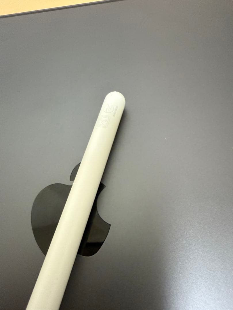 iPad Pro 11 第1世代 256GB Wi-Fi + Cellular