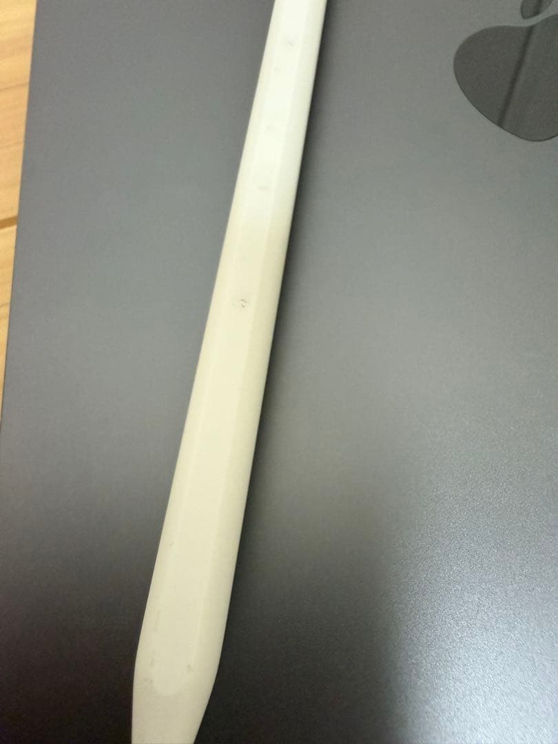 iPad Pro 11 第1世代 256GB Wi-Fi + Cellular