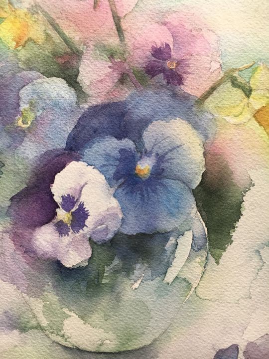 透明水彩画原画、可愛いパンジーB