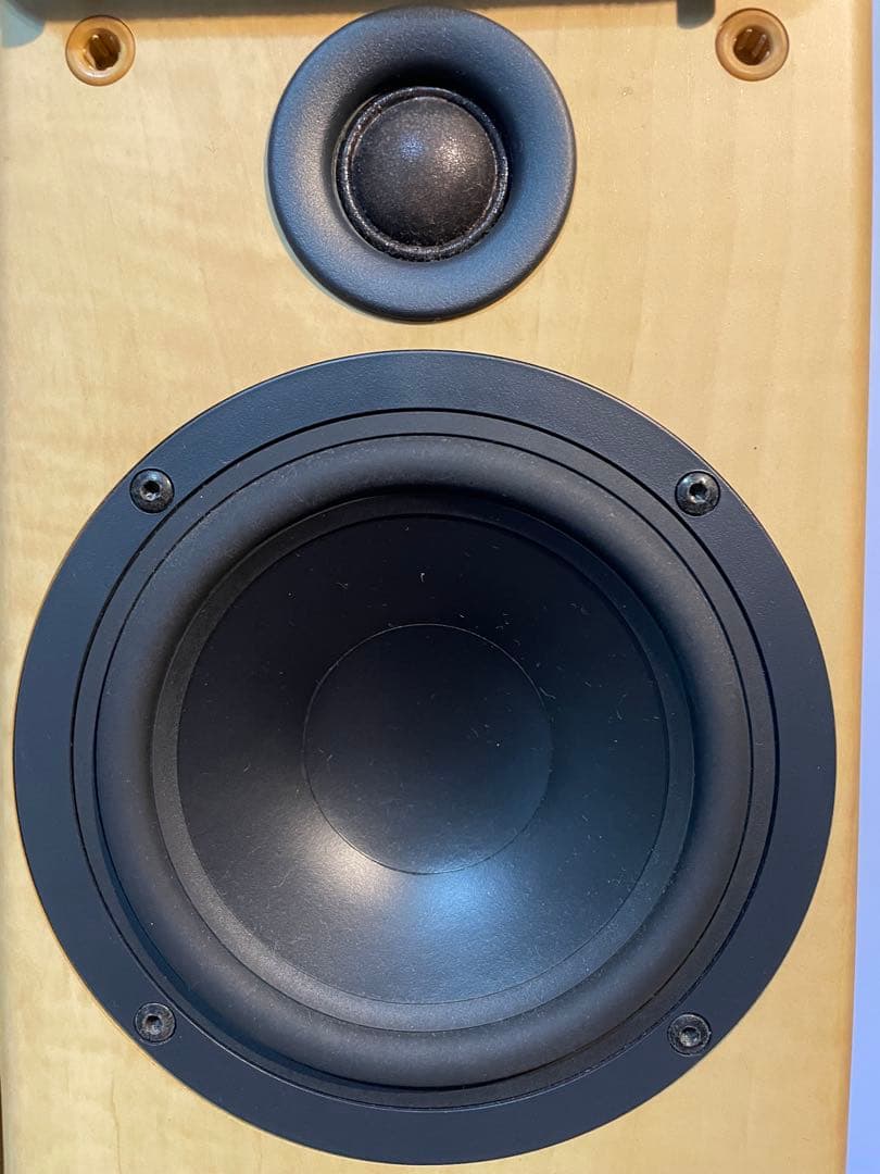 イギリス　TANNOY Fusion 1 ブックシェルフスピーカー シリアル連番