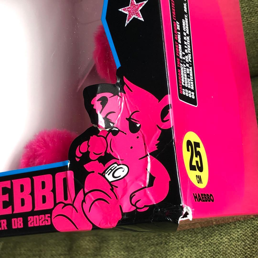 NCT ヘチャン ぬいぐるみ25CM DOLL SET TASTE　MD