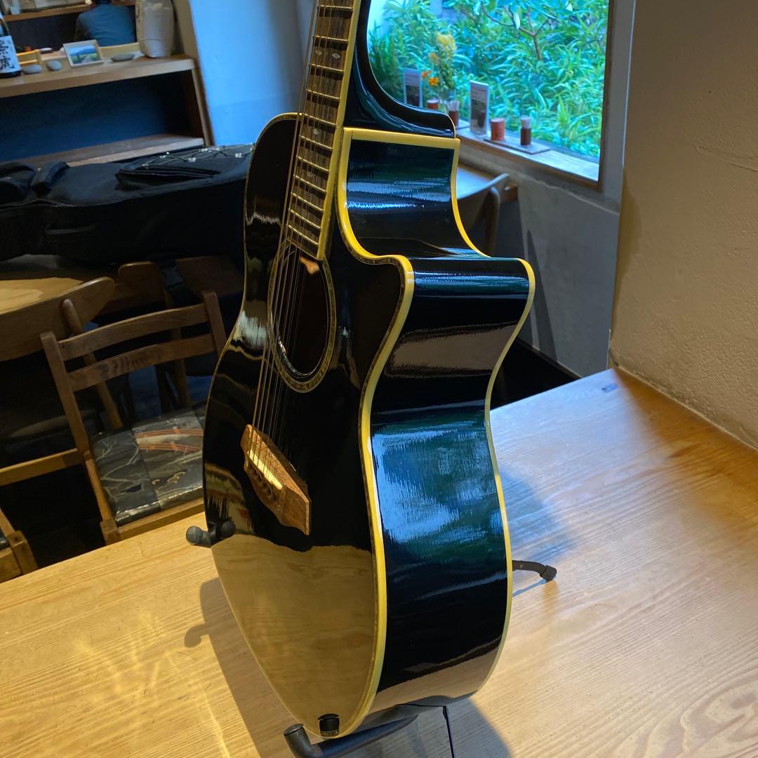 アコースティックギター12弦 SPT オマケ付き
