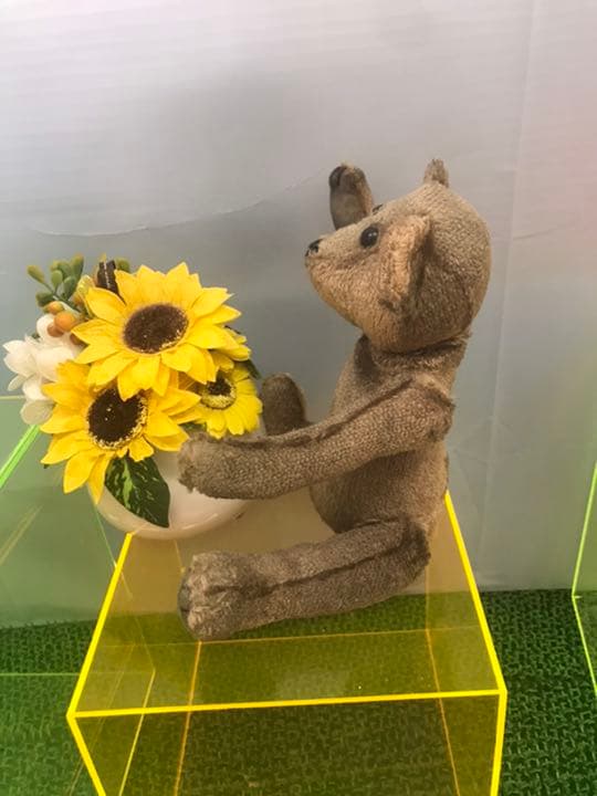 希少な年代物のアンティークテディベア　steiff社