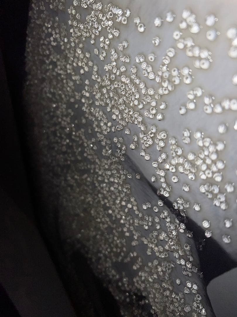 オマージュアート　白馬