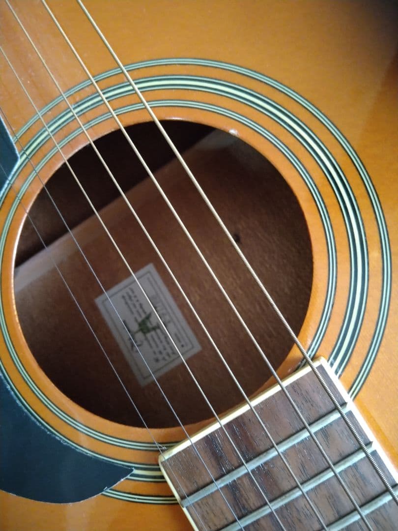 TAKAMINE T-F1/BS アコギ