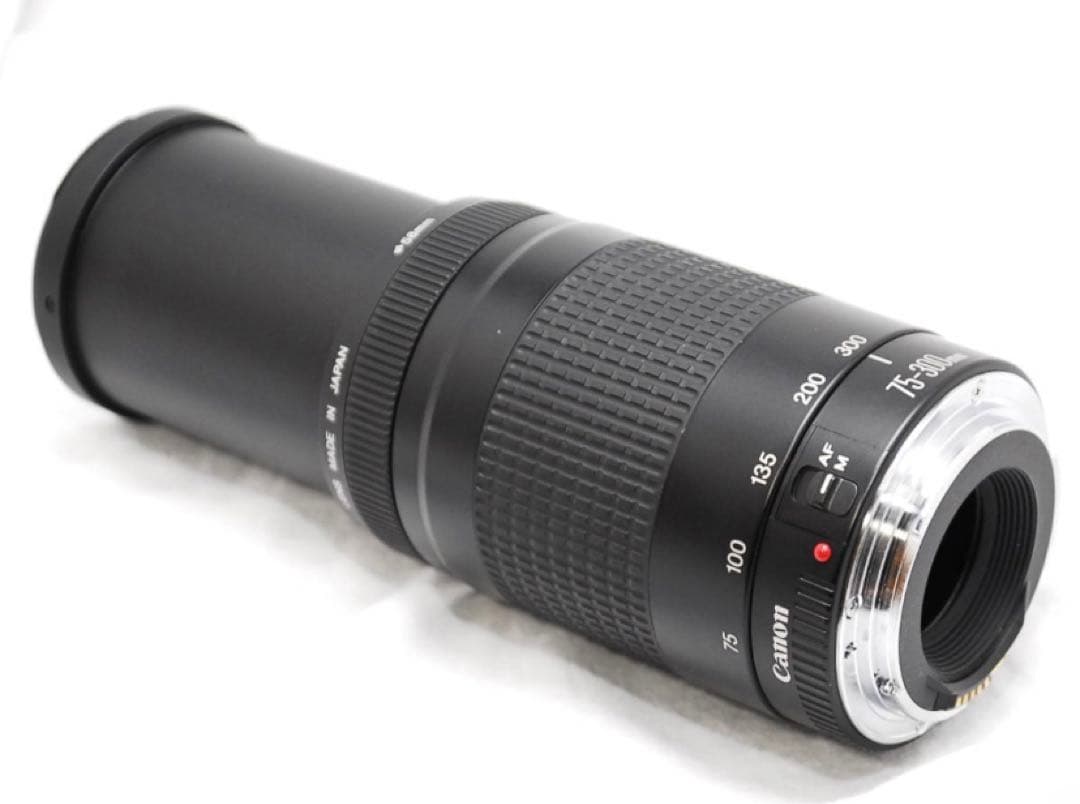 キヤノン☆迫力300㎜☆Canon EF 75-300㎜ F4-5.6 Ⅱ☆
