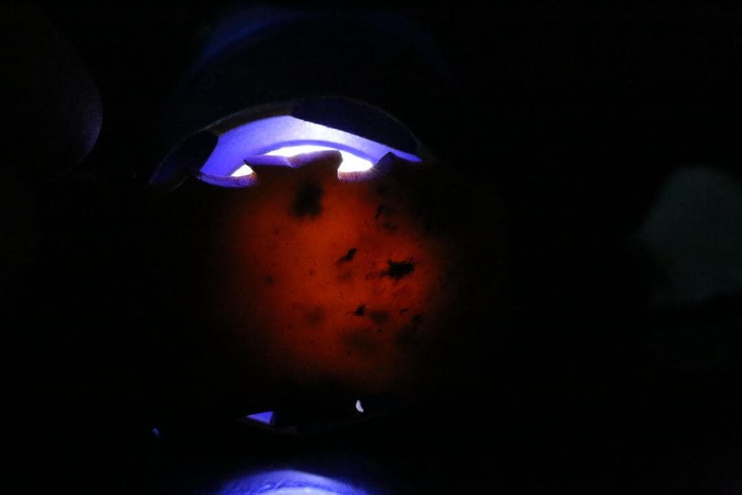 周代 鳳紋装身具 古玉和田玉 中国美術 骨董工芸収蔵品