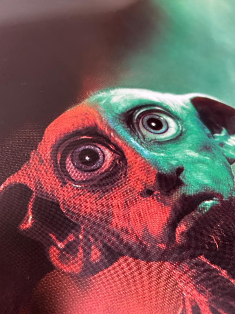 120x180ハリーポッターと秘密の部屋 ポスターB