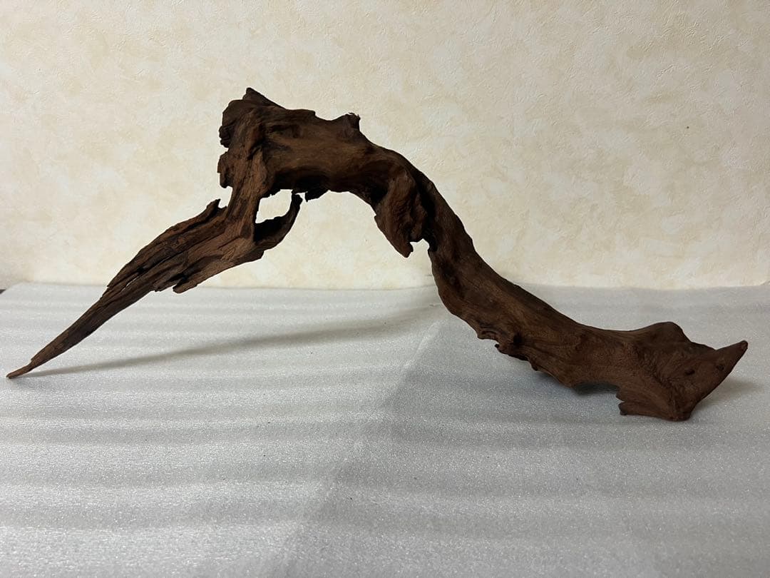 HX-061流木　マシンガンウッド　ホーンウッド アクアリウム　沈水確認済