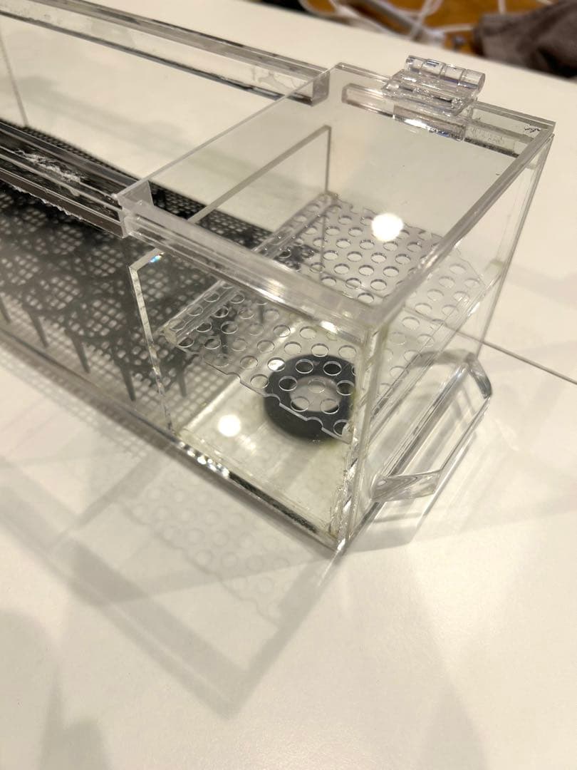 W450ガラス水槽20Lアクアリウム水槽アクアポニックス（観葉植物）仕様