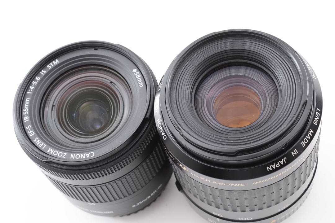 Canon EOS 9000D標準&望遠ダブルレンズセット