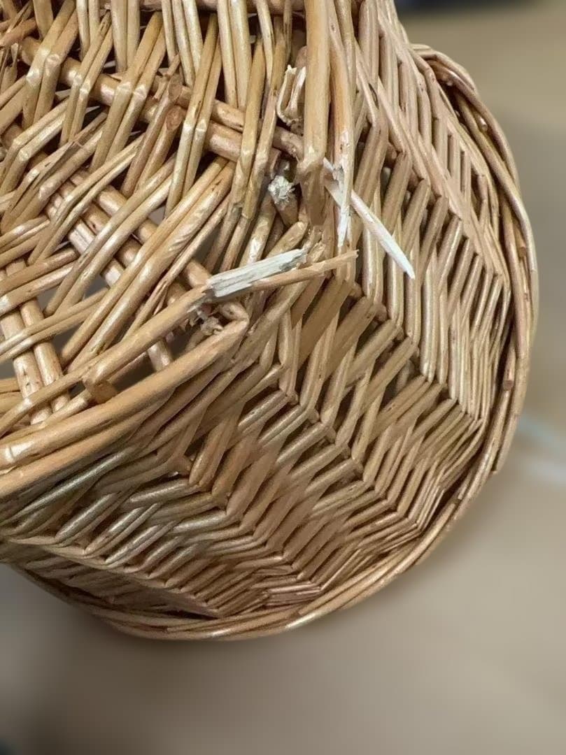 【Glerc】Missy女の子自転車24インチ 可愛い小中学生自転車