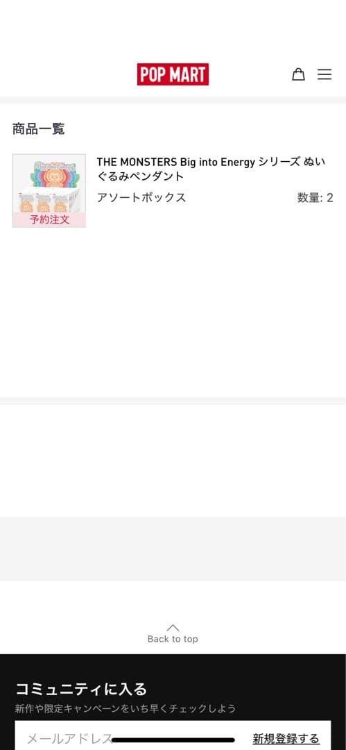 【未開封】ラブブ Big into Energy アソートボックス 正規品　2箱