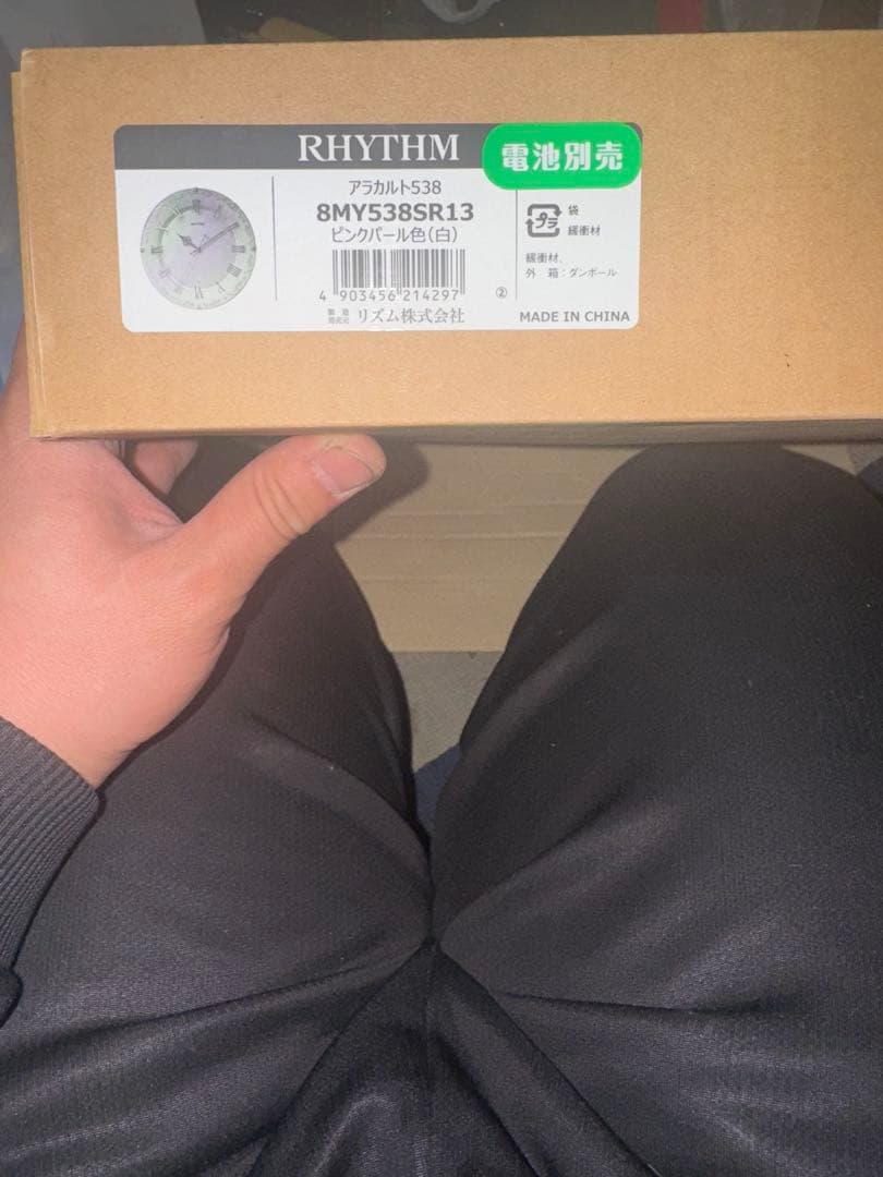 【新品未使用】RHYTHM 電波掛け時計 アラカルト538 8MY538SR13