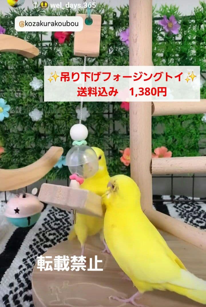 f2　吊り下げタイプのフォージングボール　バードトイ　インコ　フォージングトイ