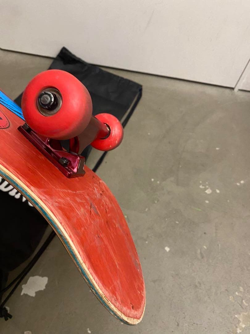 む*様 Santa Cruz スケートボード コンプリート スケボー サンタクル