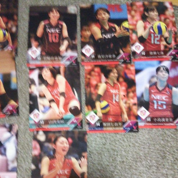 V.LEAGUE17-18トレカ