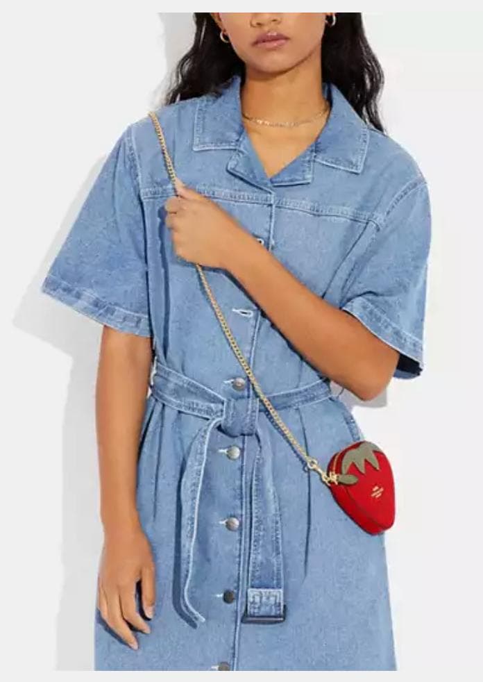 新品coach  ケース ストロベリー