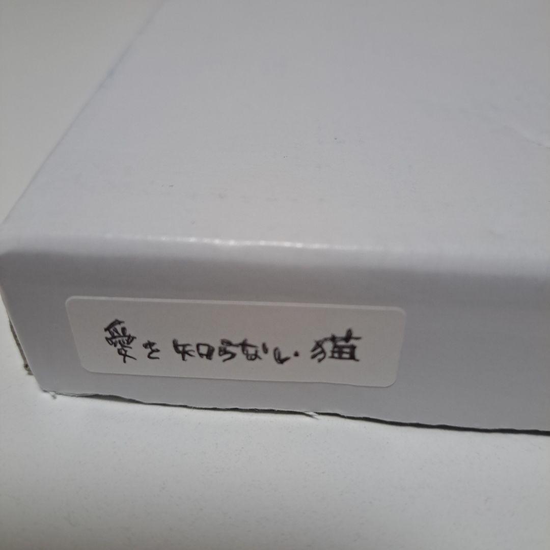 【北村直登】愛を知らない猫