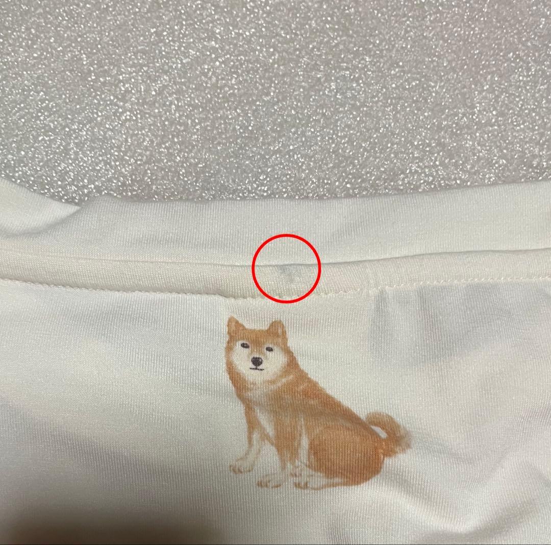 限定デザイン柴犬　ルームウェア　Tシャツ　 新品　ジェラートピケ　正規品