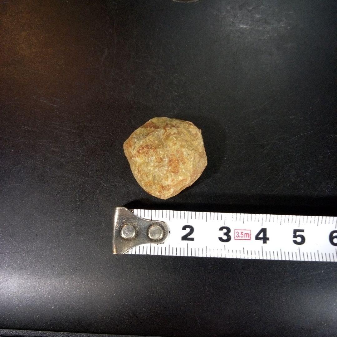 三葉虫　化石　fossil　海　ボリビア産　trilobite　海生動物網①