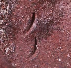 県重要無形文化財　伊勢崎満　一輪生花入 M269