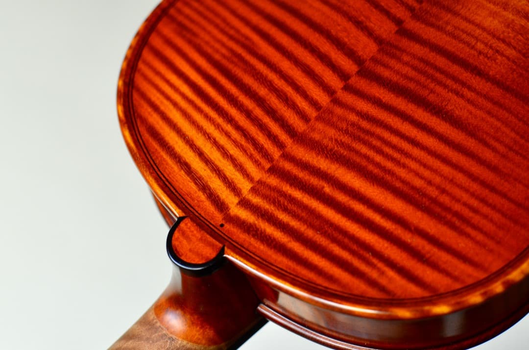 【新品】Gliga Cristian Maestro ガルネリ 4/4