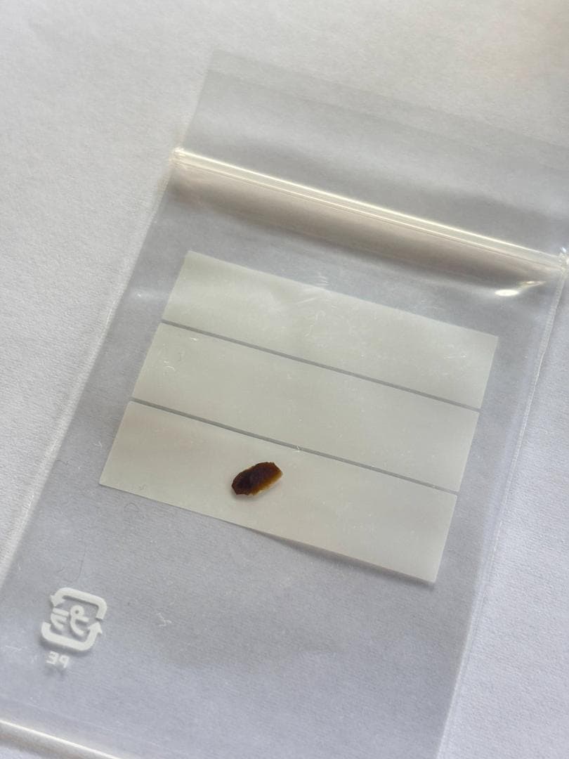 濱中史朗 カップ 　スタッズ 　濱中史郎