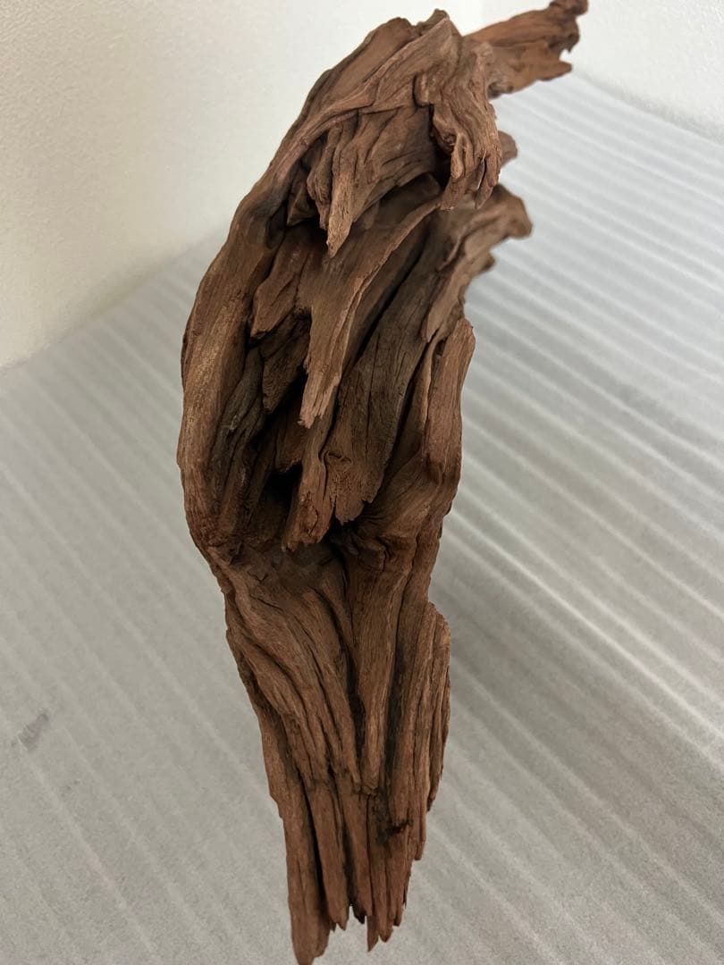 HX-062流木　ホーンウッド　マシンガンウッド　アクアリウム　ブランチウッド